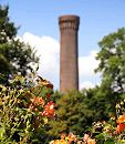 1450_3636 Blick ber die Rosen im Traunspark zum Turm der Wasserkunst in Rothenburgsort. Der kleine Park hinter dem Deich der Billwerder Bucht wurde 1923 vom damaligen Hamburger Gartenbaudirektor angelegt.