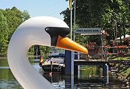 56_8660 Anleger am Ernst-August-Kanal - ein Hamburger Tuckerboot hat dort festgemacht, am Heck eine Deutschland-Flagge. Wasser-Tretboote in Form eines Schwans. www.fotograf-hamburg.com