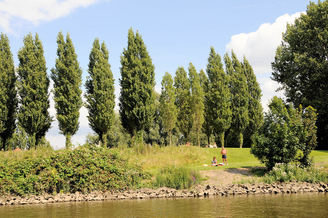 01200_3720 Blick vom Wasser auf die Grnanlage Elbpark Entenwerder in Hamburg Rothenburgsort - 2007 wurde der Park eingeweiht; er wurde auf dem brachliegenden Gelnde des Zollhafens angelegt - in diesem Zusammenhang wurde ein Hafenbecken ganz und ein weiteres halb zugeschttet.