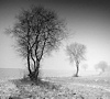 november depression