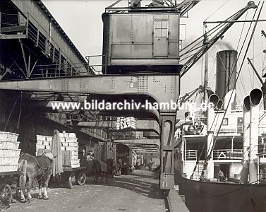 011_15289 - Krne entladen ein berseeschiff; Pferdewagen sind hoch mit Kisten beladen - historisches Foto ca. 1930