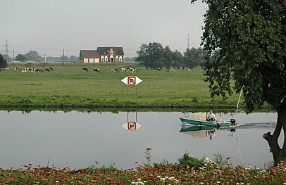 011_15010 - ein kleines Sportboot fhrt auf der spiegelglatten Dove Elbe; im Vordergrund eine Blumenwiese - am anderen Ufer ein ' Parken verboten ' Schild; Schiffe drfen dort nicht anlegen - auf der Wiese grasen Khe.