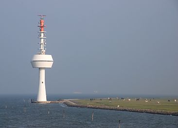 011_15063 - Radarturm von Neuwerk; Tiere auf der Salzweide. 