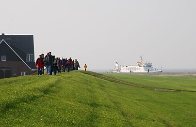 011_15065 - Touristen wandern auf dem Deich von Neuwerk; im Hintergrund die Fhre.