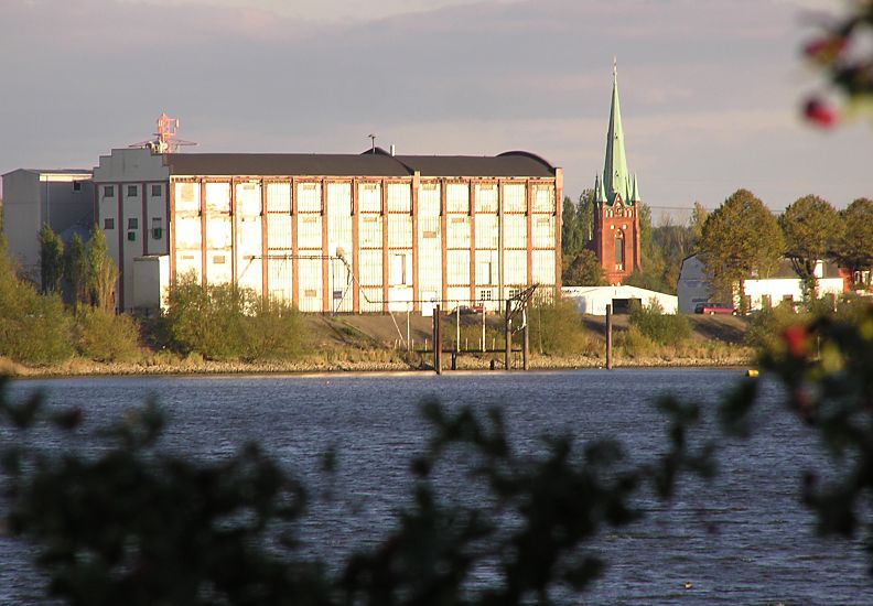 11_17527 Blick ber den Holzhafen in Hamburg Moorfleet - auf der gegenber liegendes Seite der Moorfleeter Deich in der Abendsonnen. Rechts davon die Moorfleeter  St. Nikolaikirche