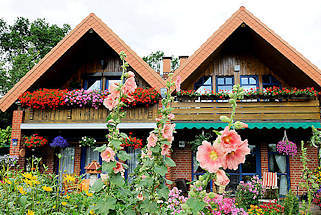5199 Doppelhaus in einer Seitenstrasse von Hamburg Steilshoop - blhende Geranien am Balkon - Stockrosen und Blumen im Vorgarten.