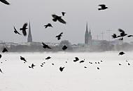 229_4973 Der Wind wirbelt den Schnee hoch, der auf dem Eis der zugefrorenen Aussenalster liegt - ein Schwarm Krhen fliegt auf, einige sitzen noch auf dem Alstereis. Auf der anderen Seite der Alsterbecken die Trme der St. Petrikirche, dem Rathaus und der Nikolai Kirche.  