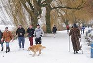 232_5101 Es gehrt mit zur hanseatischen Tradition am Sonntag Nachmittag einen Alsterspaziergang zu unternehmen. Eine Dame im Pelzmantel und Nordic Walking Stcke geht ihren Weg durch den Schnee am Alsterufer. Andere joggen mit kurzer Hose durch das Schneetreiben.