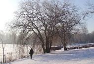 278_1010011 Spaziergang am Morgen im Hamburger Winter - die Sonne scheint auf den winterlichen Stadtpark. Eine Parkbesucherin geht auf dem Rundweg, der um den Stadtparksee fhrt. 