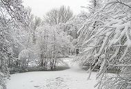 282_1010017 Die Zweige der Bume am Ententeich im Hamburger Stadtparks sind mit einer dichten Schneeschicht bedeckt. Der Teich ist teilweise gefroren - Schnee liegt auf der Eisdecke.