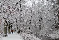 289_1010060 Spaziergnger gehen auf dem verschneiten Wanderweg entlang der Alster Hhe Hamburg Poppenbttel durch die idyllische Winterlandschaft. Die Zweige und ste der kahlen Bume sind mit Schnee bedeckt. 