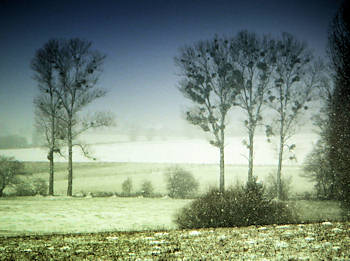 Bilder ausserhalb Hamburgs