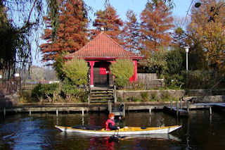 053_03808 Sumpfzypressen auf der Liebesinsel im Hamburger Stadtpark; die Zypressen sind im Herbst rot gefrbt - rotes Huschen, Kanu in Fahrt.
