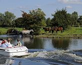 11_21602 Ein Motorboot fhrt auf der Doveelbe; die Bootsinsassen sitzen in der Sonne. Am Flussufer steht eine Pferdeherde im Wasser und auf der Weide. www.hamburg-fotos.org