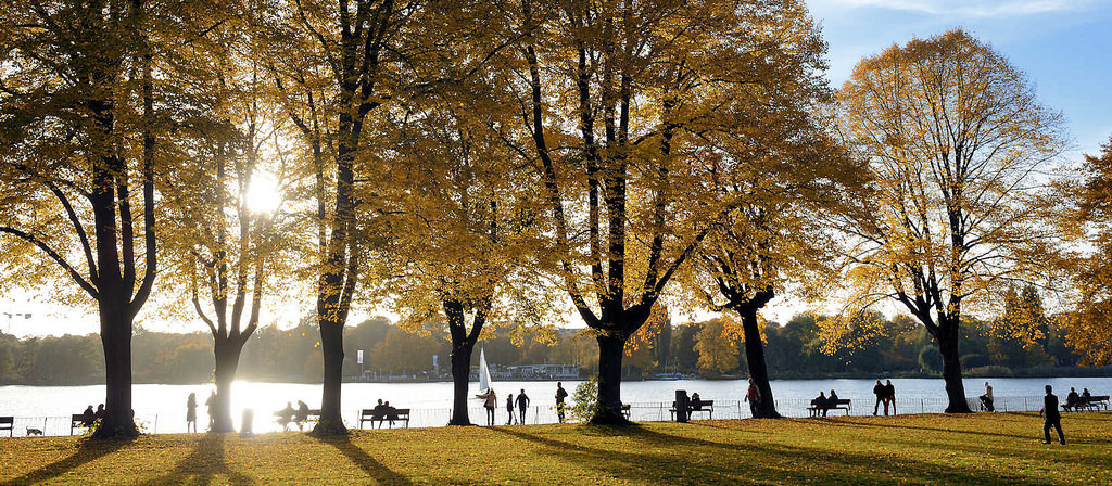 herbstsonne an der alster - herbstb�ume am alsterufer