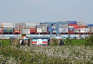 012_7285 Das Alte Land ist ein Teil der Elbmarsch, mit ca. 14 3000 Hektar Baumobst ist das Alte Land das grte zusammenhngende Obstanbaugebiet Mitteleuropas. 77 Prozent der Obstbume sind pfel und 12,7 % Kirschen. Blick ber blhende Apfelbume zum Elbdeich bei Grnendeich. Durch die ffnung des Lhesperrwerks ist ein Segelboot zu erkennen - ein Containerriese fhrt hochbeladen auf der Elbe Richtung Hamburg.