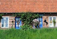 025_4112 Malerisch gelegenes Wohnhaus direkt am Lhedeich - die Eingangstre sind in Blau gehalten, grne Rankpflanzen wuchern an der Hauswand empor. Im Vordergrund das saftige hohe Gras auf der Deichkrone.