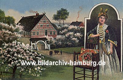 011_15532 - historische Ansicht der Kirschblte im Alten Land (ca. 1900) - Altlnderin in Hochzeitstracht geschmckt.  