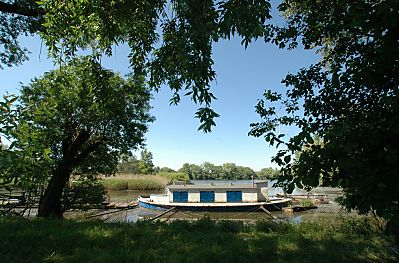 011_14249 - Bildagentur: Hausboot in einem Elbhafen; Weiden am Ufer der Sderelbe.