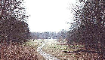 Hamburg Parks Niendorfer Gehege