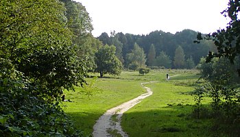 Hamburg Parks Niendorfer Gehege