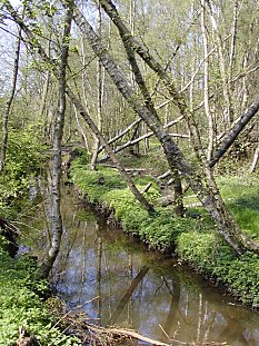 Hamburg Parks Niendorfer Gehege