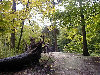 Bilder Hamburg Parks Niendorfer Gehege