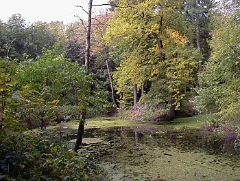 Bilder Hamburg Parks Niendorfer Gehege