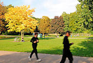 9149 Herbst im Eppendorfer Park - Bäume mit strahlend gelben Herbstblättern in der Herbstsonne - Jogger laufen auf einem der Wege in der Grünanlage in Hamburg Eppendorf.
