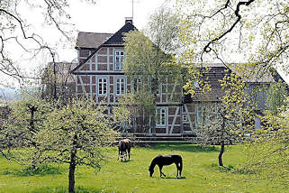 2742 Bauernhaus mit Fachwerk - Pferde auf der Wiese vorm Haus - Hamburgfotos aus den Stadtteilen - HH Francop.