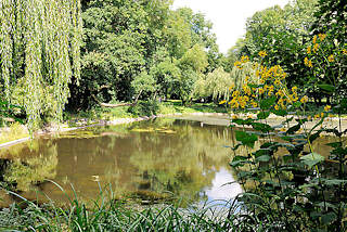 6652 Teich im Hammer Park - Weiden am Teichufer; Fotos aus Hamburg Hamm.
