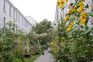 7841 Terrassenhaeuser am Falkenried - Gärten und Blumen vor den Häusern. Leben in Hamburg Hoheluft Ost.