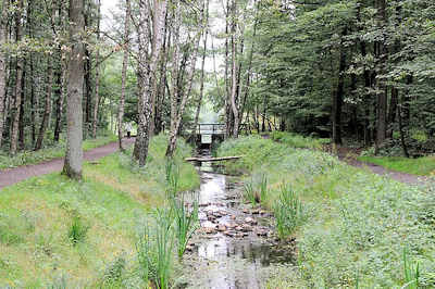 7825 Raakmoorgraben im Hamburger Naturzschutzgebiet Raakmoor - beiderseits des Graben verlaufen Wanderwege - Steine liegen im Wasser.