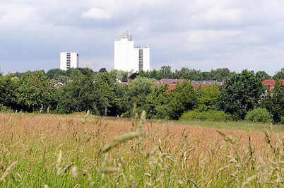 4484 Weite Wiese in Hamburg Langenbek - hohes Gras und Bäume - Grünanlage im Stadtteil; im Hintergrund Hochhäuser von Hamburg Sinstorf.