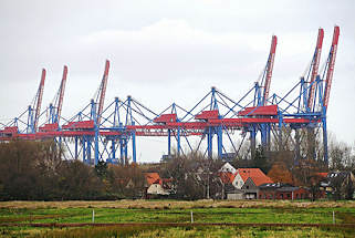 2900 Wiesen und Wohnhäuser von Hamburg Moorburg - Containerbrücken vom Terminal Altenwerder.