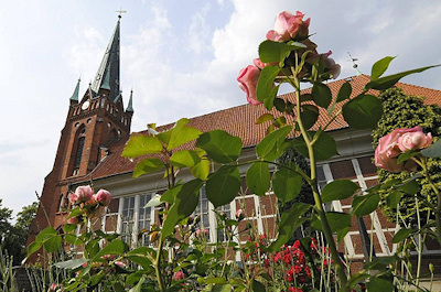 4090099 Hamburger Kirchen St. Nikolaikirche HH-Moorfleet - blühende Rosen auf dem Friedhof.