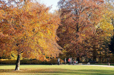1627 Herbstspaziergang im Hohenbuchen Park - Wiese mit Laub, Spaziergänger mit Hunden auf dem Weg zwischen den Herbstbäumen im Hohenbuchen Park.