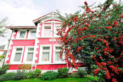 8239 Historische Architektur Hamburgs - Stadtvilla erbaut 1904 am Ufer des Seevekanals - Rotdorn mit roten Früchten.