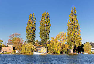 3025 Herbstbäume am Bullenhuser Kanal in Hamburg Rothenburgsort; prächtige Herbstfarben in den Schrebergärten auf der Billerhuder Insel.