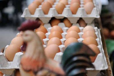 0435 Frische Eier in Kartons - Hofladen.