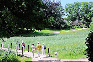 6333 Spaziergängerinnen im Stadtpark Harburgs überqueren ein Feuchtbiotop über einen Steg im Harburger Stadttpark.