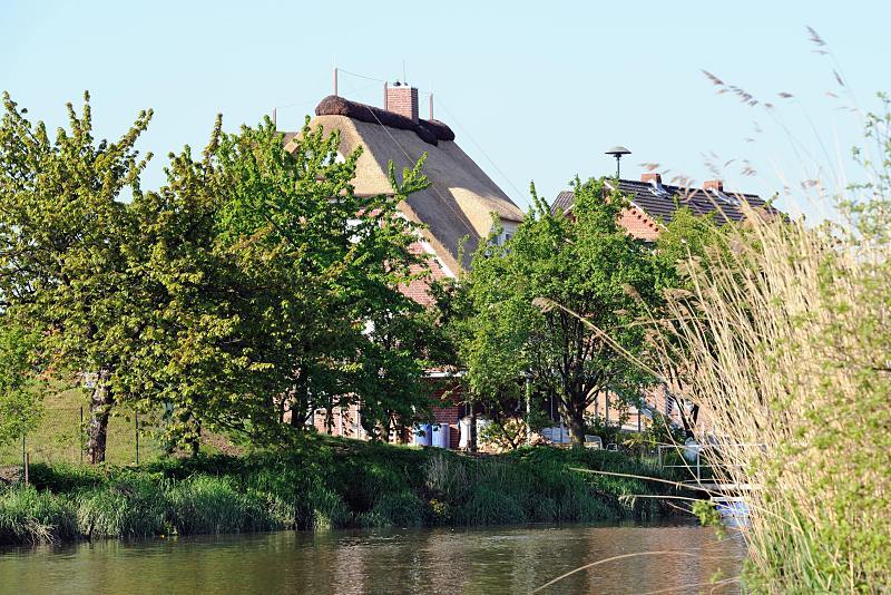 Bilder vom Alten Land - Ausflugsziel der Hamburger: die Apfelblte. Reetdachhaus am Ufer der Lhe; Obstbume.  017_4013 Dicht stehen die Huser am Ufer der Lhe - zwischen den Kirchbumen schaut das Reetdach eines Wohnhauses heraus.