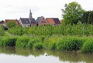 051_4314 Bis an die Wohnhuser Estebrgges erstreckt sich die Kirschplantage - der Ortsteil gehrt zur Gemeinde  Jork. ber die Dcher der Ortschaft ragt der Kirchturm der St. Martini-Kirche, deren Ursprung bis in die Mitte des 15. Jhd. geht.