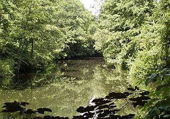 Hamburg Alster