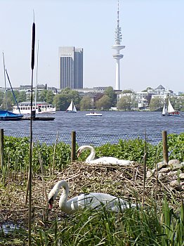 Hamburg Alster