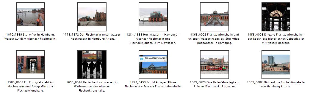 Die Fischauktionshalle in Hamburg-Altona wurde 1895–1896 in Altona am neugebauten Fischereihafen an der Elbe errichtet, um Versteigerung, Handel und Versand von dort angelandeten Fischen zu ermglichen. Daneben diente das Gebude der Lagerung und Reparatur von Fischereigerten und der Verteilung von Khleis. Die Halle dient seit ihrer Restaurierung 1984 als Ort fr Veranstaltungen. Der mit Ziegelwerk ausgefachte Stahltrgerbau steht seit 1984 unter Denkmalschutz