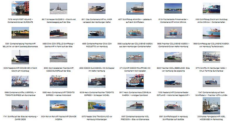 2009 wurden im Hamburger Hafen 110,4 Millionen Tonnen Güter umgeschlagen, davon 71,2 Mio Tonnen in Containern(- 25,1 Prozent) abgefertigt, das entspricht in TEU (20-Fuß-Standardcontainer) 7,01 Millionen TEU ( - 28,0 Prozent gegenüber dem Vorjahr.). Im Jahr 2010 ist wieder ein Zuwachs von ca. neun Prozent zu rechnen. 